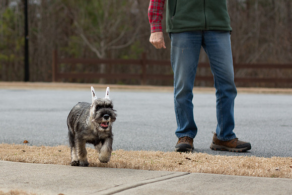 NM8A1658.jpg