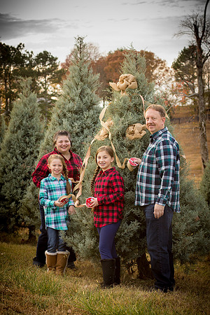 Bresnan Family-8
