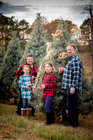 The Bresnan Family Christmas 2016