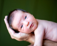 Wyatt Hohl Newborn Session