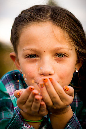 Bresnan Family-49